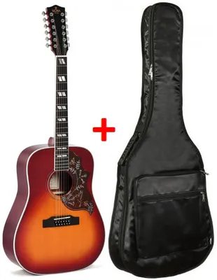 Двенадцатиструнная гитара Sigma DM12-SG5 with bag купить в  интернет-магазине Легато
