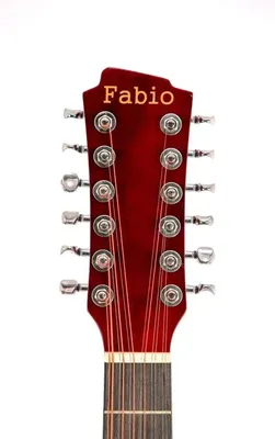 Купить гитара акустическая двенадцатиструнная Fabio FB12 4110 NL, цены на  Мегамаркет | Артикул: 600008249516
