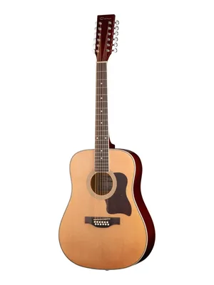 Купить Caraya F64012-N двенадцатиструнная гитара недорого в магазине Ловец  нот или с бесплатной доставкой