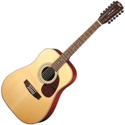 Купить двенадцатиструнную гитару SIGMA DM12 1ST в нашем розничном магазине  или с доставкой по всей России