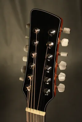 12-струнная гитара Sigma DM12-SG5 - купить 12-струнные гитары в магазине  музыкальных инструментов Muzikant, купить 12-струнную гитару Sigma DM12-SG5  с доставкой по Украине, а также 12-струнную гитару Sigma DM12-SG5 заказать  в нашем интернет