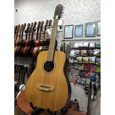 Акустическая гитара 12-струнная Fabio FB12 4120 NL - купить по выгодной  цене | Muz Sound