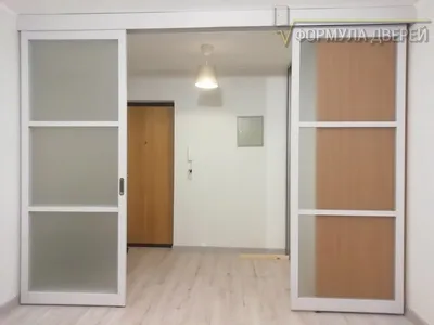 Раздвижные двери в потолок