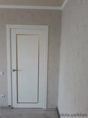 Сірі міжкімнатні двері зі склом