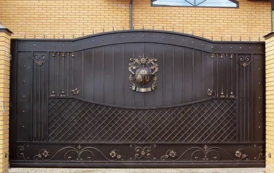 Двери и ворота методом холодной ковки: особенности декорирования | Статьи  компании БиэМ