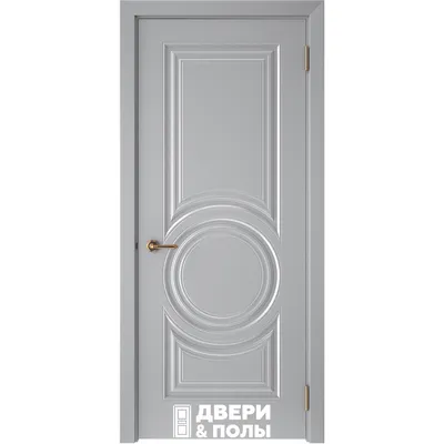 Серые двери в интерьере: виды, материалы, оттенки, дизайн, сочетание с  полом, стенами