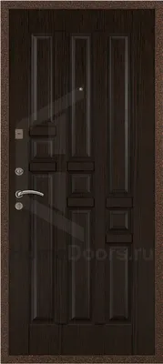 DOORS007: дверь Интекрон Брайтон \"Дуб графит\" В-07, Цвет \"Венге\" входные  двери (стальные двери, металлические двери)