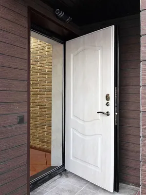 Как выбрать входную дверь в частный дом