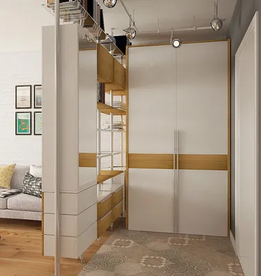 Шкаф перегородка: двухсторонний с проходом между комнатами, шкаф-купе