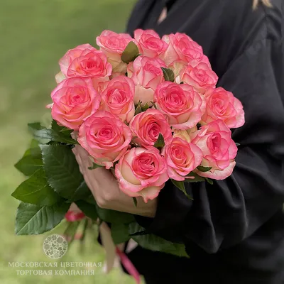 Букет цветов 7 роз Джумилия с эвкалиптом 💐 заказать в Москве с доставкой  по цене 3 890 ₽ | Флористическое кафе VioletFlowers 🌷