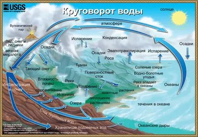 Вода течет вверх по салфетке - физический эксперимент с капиллярным эффектом