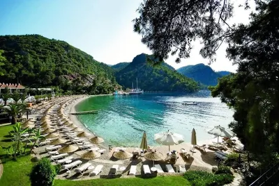Российский турпоток на курорты Эгейского побережья Турции в 2023 году вырос  на 8,1% | Ассоциация Туроператоров
