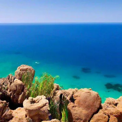 Фотообои \"Подводная панорама. Шарм-эль-Шейх. Красное море. Египет\" - Арт.  190005 | Купить в интернет-магазине Уютная стена
