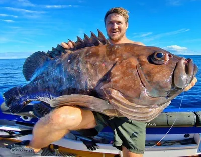 Рыбалка в Египте: запреты и самые необычные виды рыб | Рыбалка - рыбалочка!  | Дзен