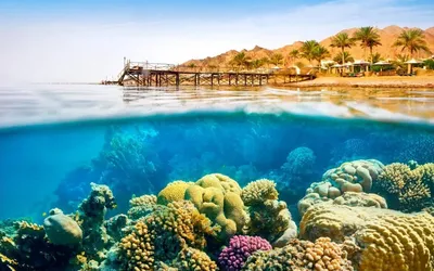 Море ушло ещё с одного популярного у россиян курорта, на этот раз в Египте  | Туристические новости от Турпрома