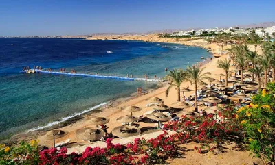 Александрия. Что нужно знать об отдыхе в Александрии 2024, Египет. Пляжи,  развлечения, достопримечательности