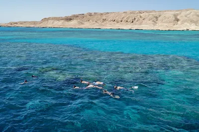 Египет, Красное море - «Египет. Почему стоит увидеть Красное Море хотя бы  один раз в жизни. Маленькие советы для первого посещения страны.» | отзывы