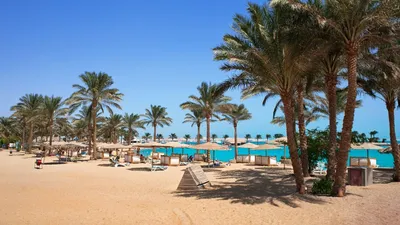 Пляжи Египта ☀️ ТОП-15 лучших в 2024 году: фото, описание, туры