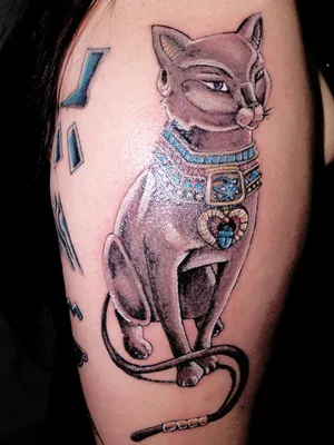 Тату на руке. Тату кот. Тату кот на руке для девушки. 100+ татуировок и  эскизов на сайте! | Татуировки рукава, Татуировка с котом, Небольшие  женские татуировки