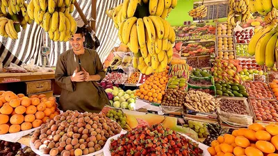 Россия ограничила ввоз фруктов из Египта | 64 параллель онлайн