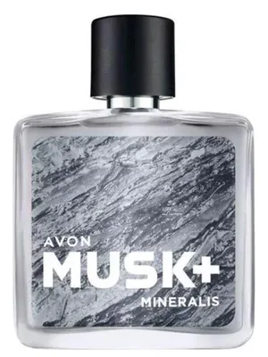 Купить туалетная вода мужская AVON Absolute by Elite Gentleman, 50 мл, цены  на Мегамаркет | Артикул: 600007140532