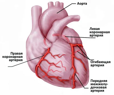 Признаки ишемии - E-Cardio