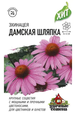 Семена эхинацея Поиск Ливадия пурпурная 1 уп. - купить в Москве, цены на  Мегамаркет