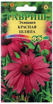 Купить семена Прянности и зелень Эхинацея Украина