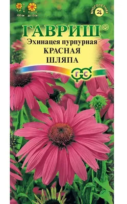 ✓ Семена Эхинацея Лебедушка, 0,1г, Гавриш, Устойчив к заморозкам по цене 30  руб. ◈ Большой выбор ◈ Купить по всей России ✓ Интернет-магазин Гавриш ☎  8-495-902-77-18