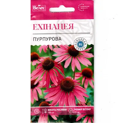 Эхинацея, смесь, семена цветов, Украина