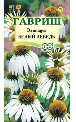 Семена эхинацеи \"Пурпурная\" (0,5 г) от ТМ \"Велес\" (ID#1553853533), цена:  4.80 ₴, купить на Prom.ua