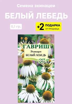 Купить Семена Эхинацея пурпурная Эксцентрик от 95 руб.