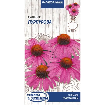 Семена \"Эхинацея пурпурная\" 10шт. Flower House 182898138 купить за 134 ₽ в  интернет-магазине Wildberries