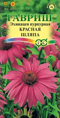 Купить Эхинацея пурпурная семена 0,3 грама (около 70 шт) (Echinácea  purpúrea) рудбекия многолетняя в Украине