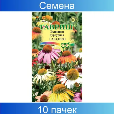 Эхинацея пурпурная Старый лекарь (семена,цветы) купить по цене 49 ₽ в  интернет-магазине KazanExpress