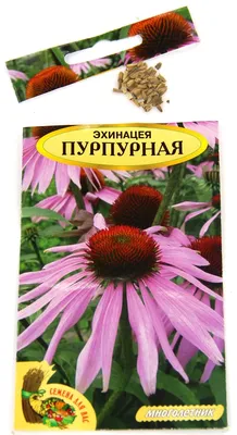 Семена Первые семена Эхинацея пурпурная, 0,5 г Первые семена 13795636  купить в интернет-магазине Wildberries