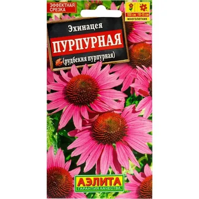 Эхинацея Пурпурная Ливадия – купить семена в интернет-магазине Лафа с  доставкой по Москве, Московской области и России
