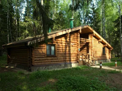 Эко-отель Романов лес - Лунево, Костромская область, фото эко-отеля, цены,  отзывы