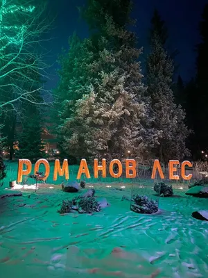 Владимир Тур Эко-отель «Романов лес»