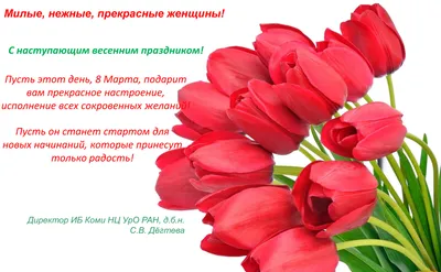Поздравление директора Института С.В. Дёгтевой с Днем 8 Марта