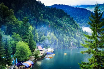 Экскурсии на озеро Рица в Абхазии – цена 2024, маршрут