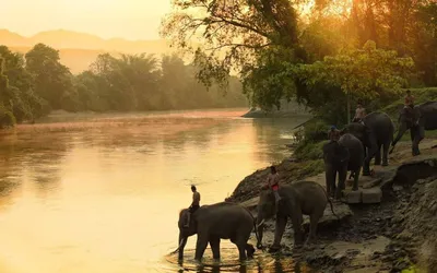 Река Квай (River Kwai) - экскурсия из Паттайи | Цены, описание