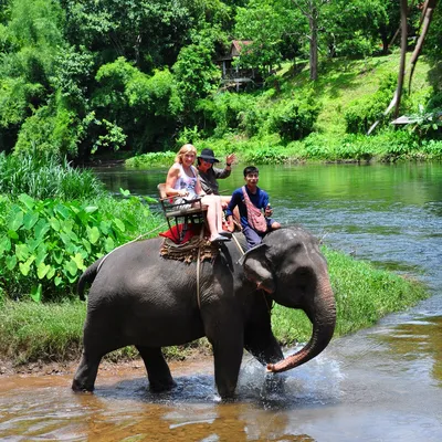 Экскурсия на реку Квай в 2022 г., вернулась. | Таиланд Экскурсии Гид в  Паттайя | Дзен