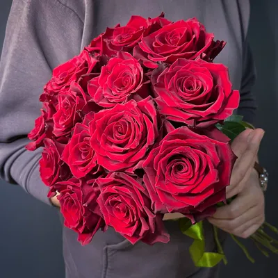 Royal Explorer Red Rose Variety - EbloomsDirect – Eblooms Farm Direct Inc.