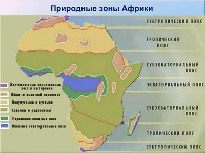 PPT - Природные зоны Африки PowerPoint Presentation - ID:4622463