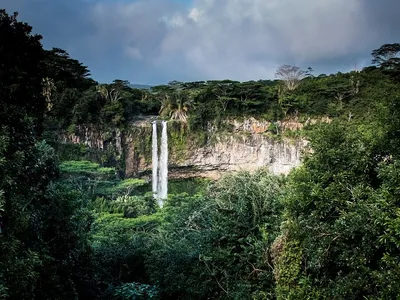 Экваториальный тропический лес | Увлекательный Мир с Бертиасом | Дзен