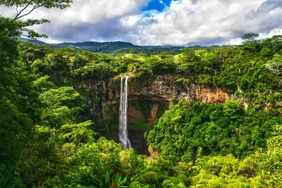 Here's what happens if the world loses its rainforests
