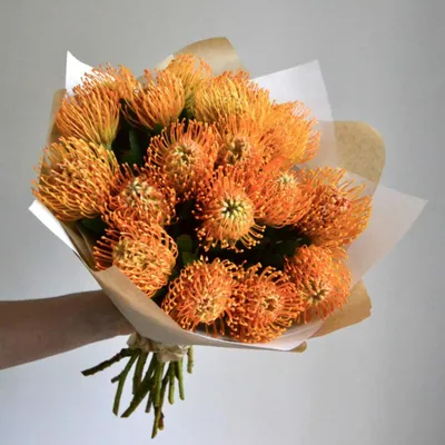 Купить Букет из нутанса. Нутанс. 19 цветов. Экзотические цветы.  Леукоспермум в Москве недорого с доставкой