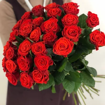 Роза сорта «Эль Торо» (El Toro) - 150 руб, купить в Воронеже в магазине  «Цветы Экспресс»