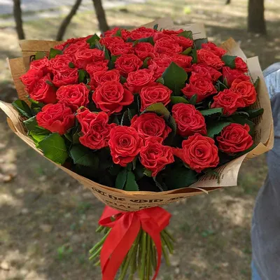 101 красная роза сорта Эль-торо | Flowerkiss
